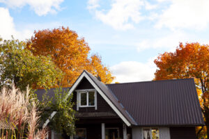 How to Choose the Best Colour for Your Metal Roof