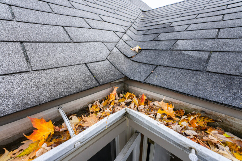 gutters are full of fall leaves and must be cleared